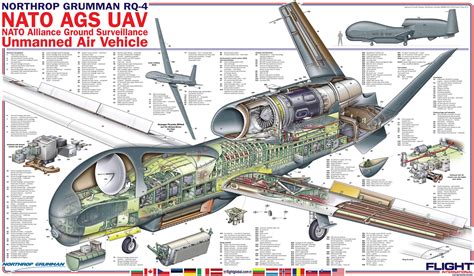 Global Hawk Porn Videos 